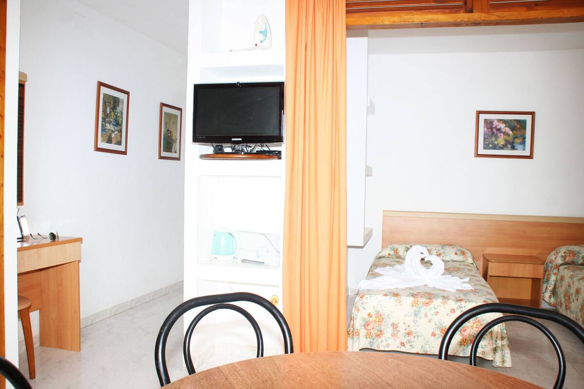 A hotel room with a bed, a desk, a chair, a television, and framed pictures on the wall.
