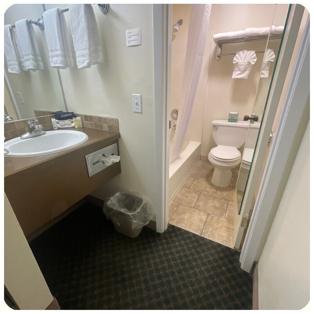 Une salle de bain comprenant un lavabo, des toilettes et un espace douche.
