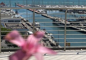 A marina with boats docked and a building with a sign that reads "MEDICINA TUTICA." - Hotel Franca (Cervia)