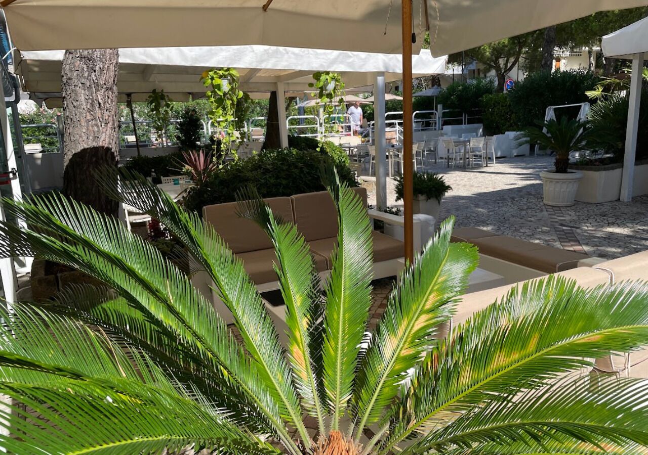 Un espacio al aire libre con sombrillas, sillones de descanso y plantas en macetas.