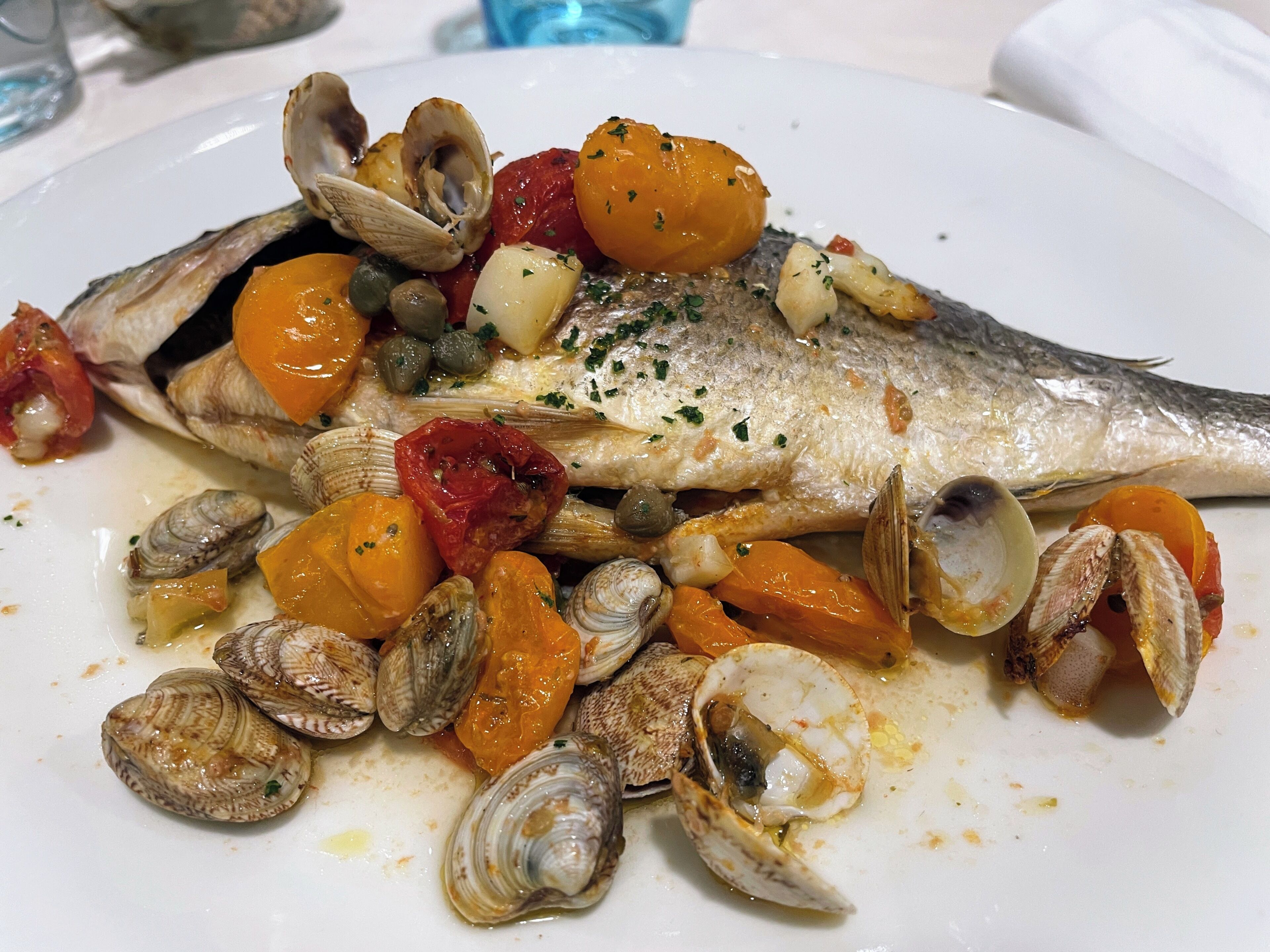 A seafood dish with clams and tomatoes on a plate.