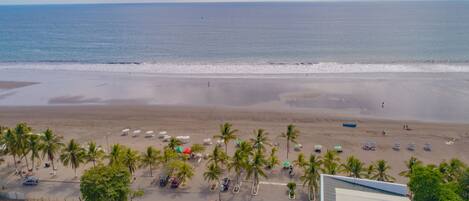 Una playa con palmeras, sombrillas y un edificio de techo rojo.