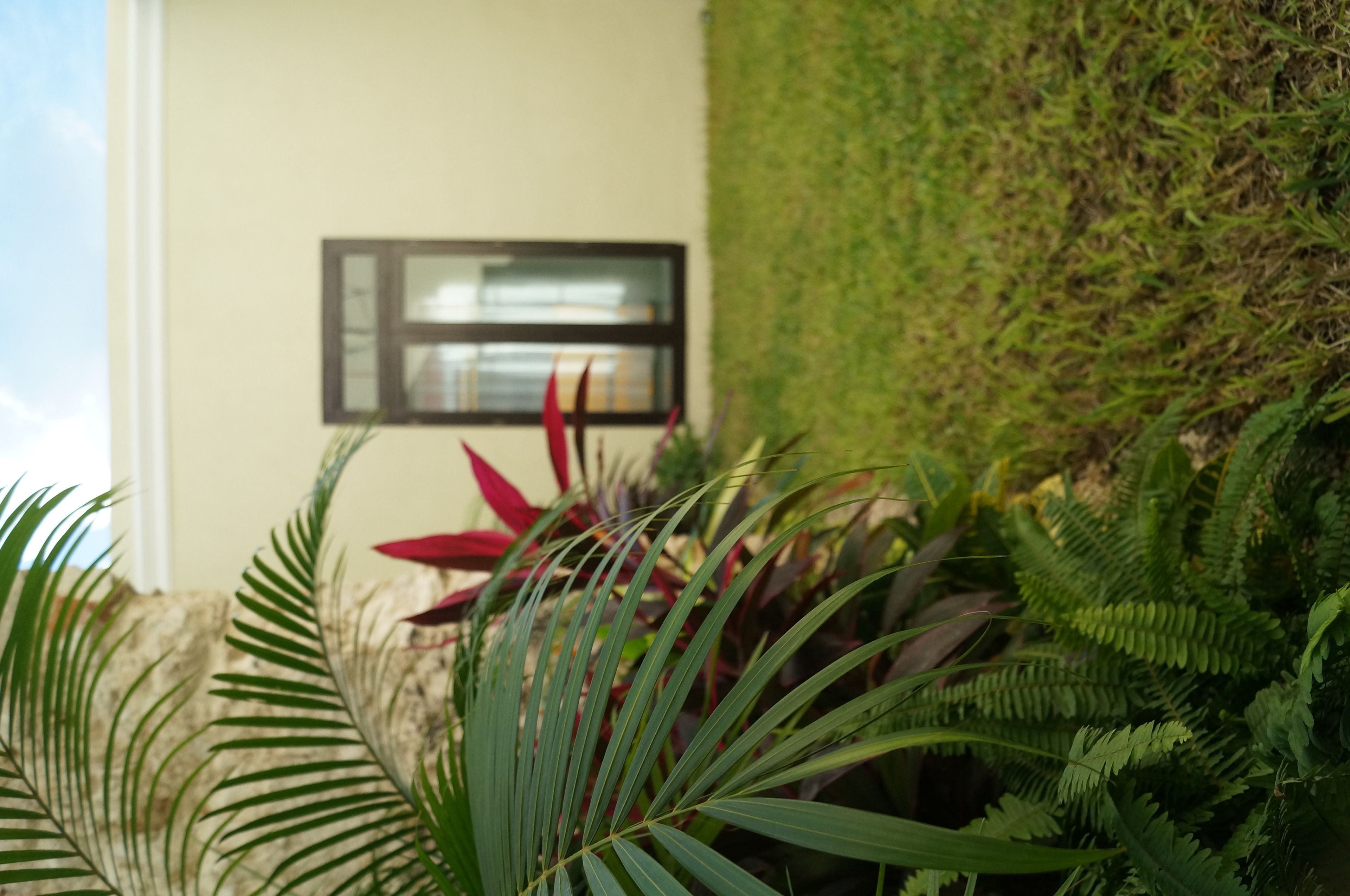 Foto - Hotel Casa Palomino