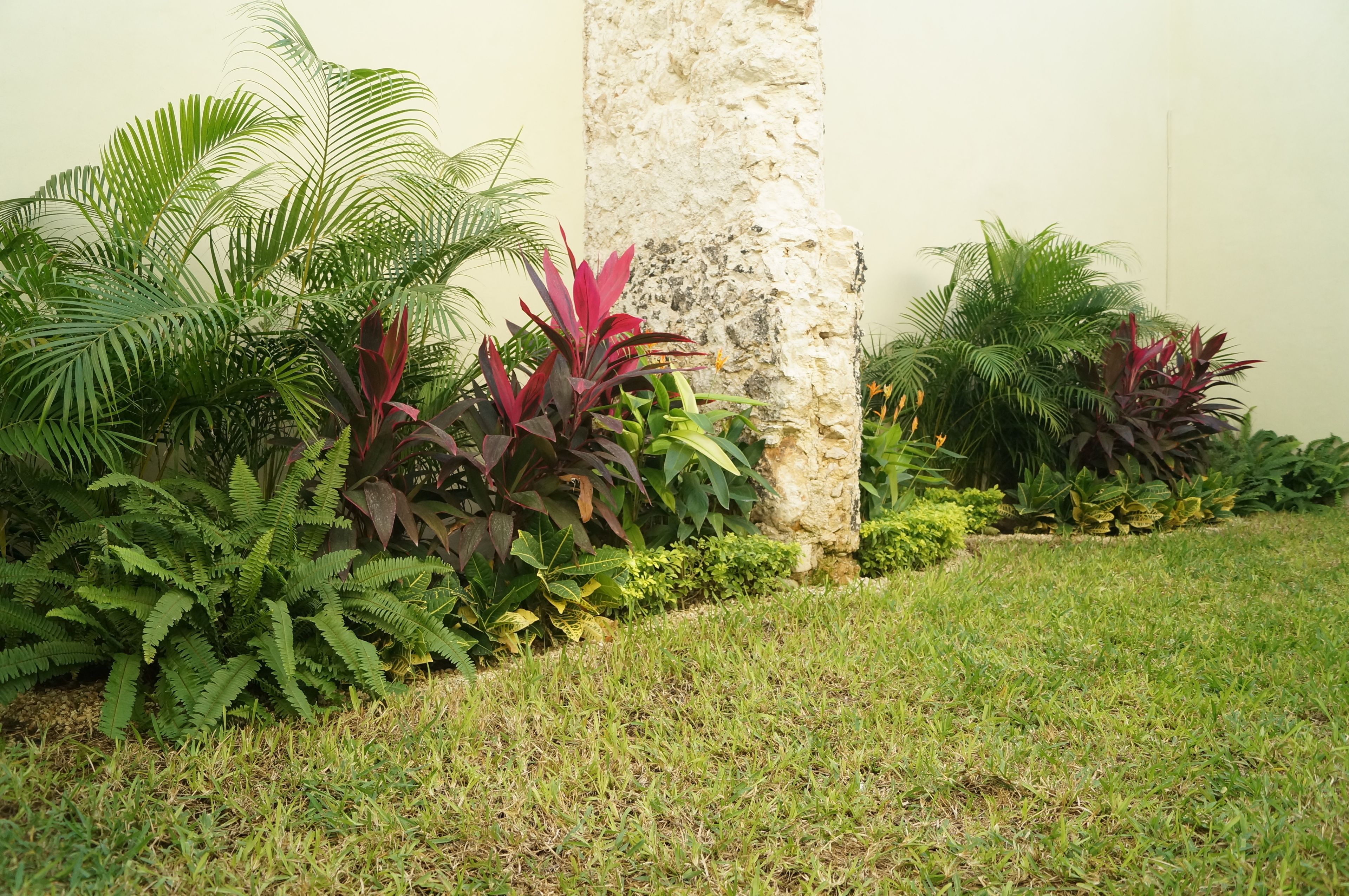 Foto - Hotel Casa Palomino