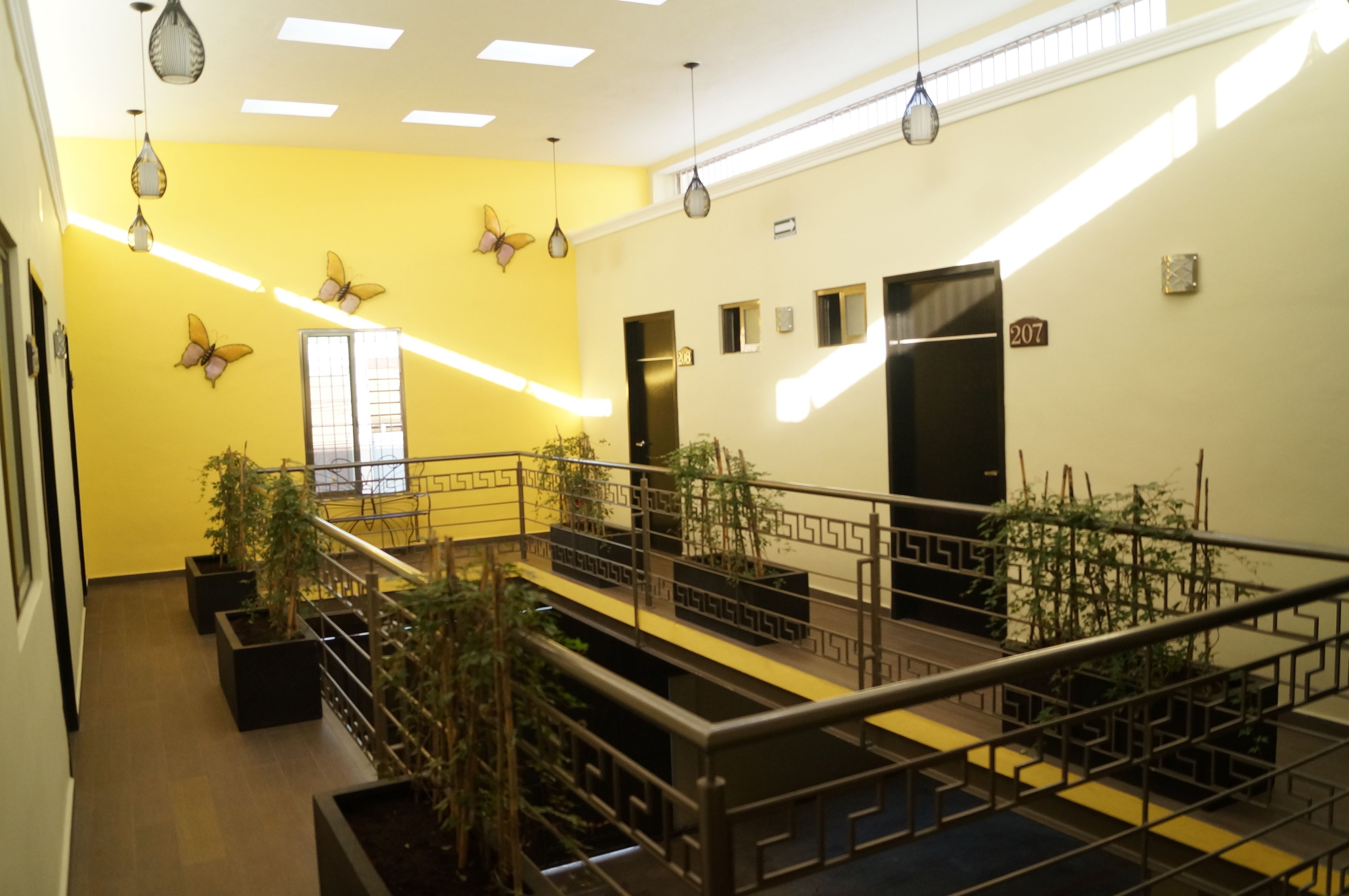 Foto - Hotel Casa Palomino