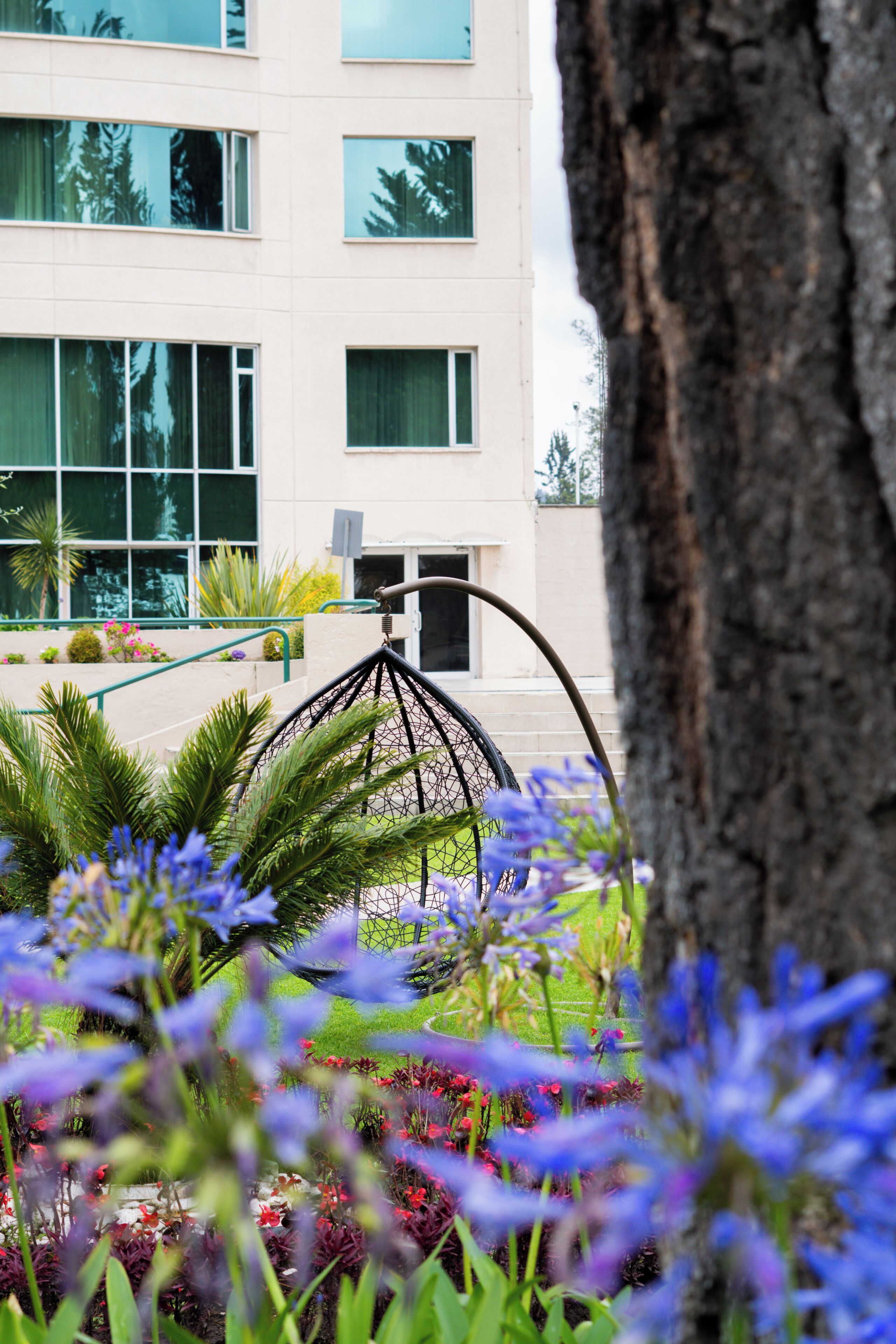 A building with large windows, a tree, and a garden with purple flowers.
