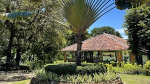 Een tuin met een grote waaierpalm, een stenen muur en een gebouw met rode dakpannen.
