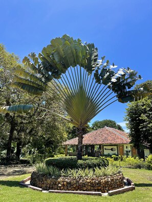 Food court - Hotel Santa Catalina Panama (Hicaco)
