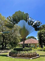 Área de comida