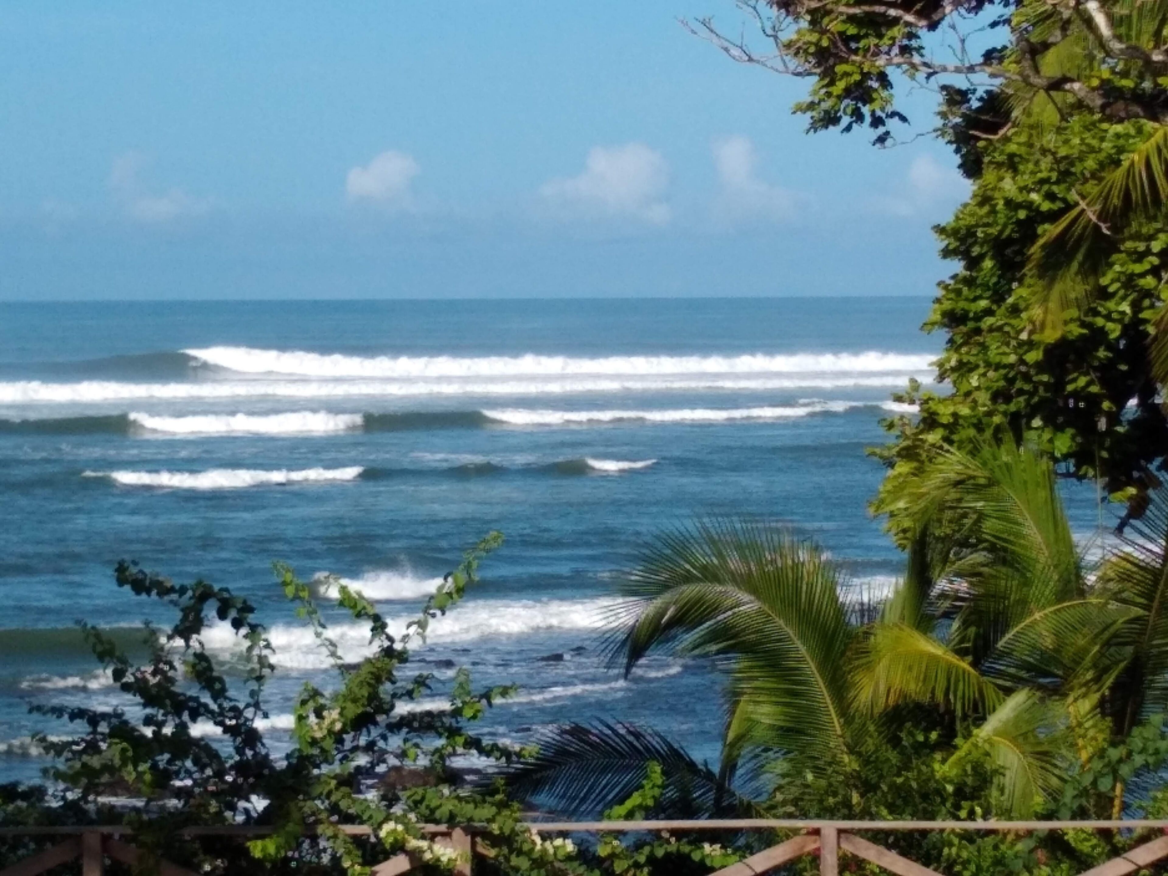 Vista del océano con olas, palmeras y una valla de madera.