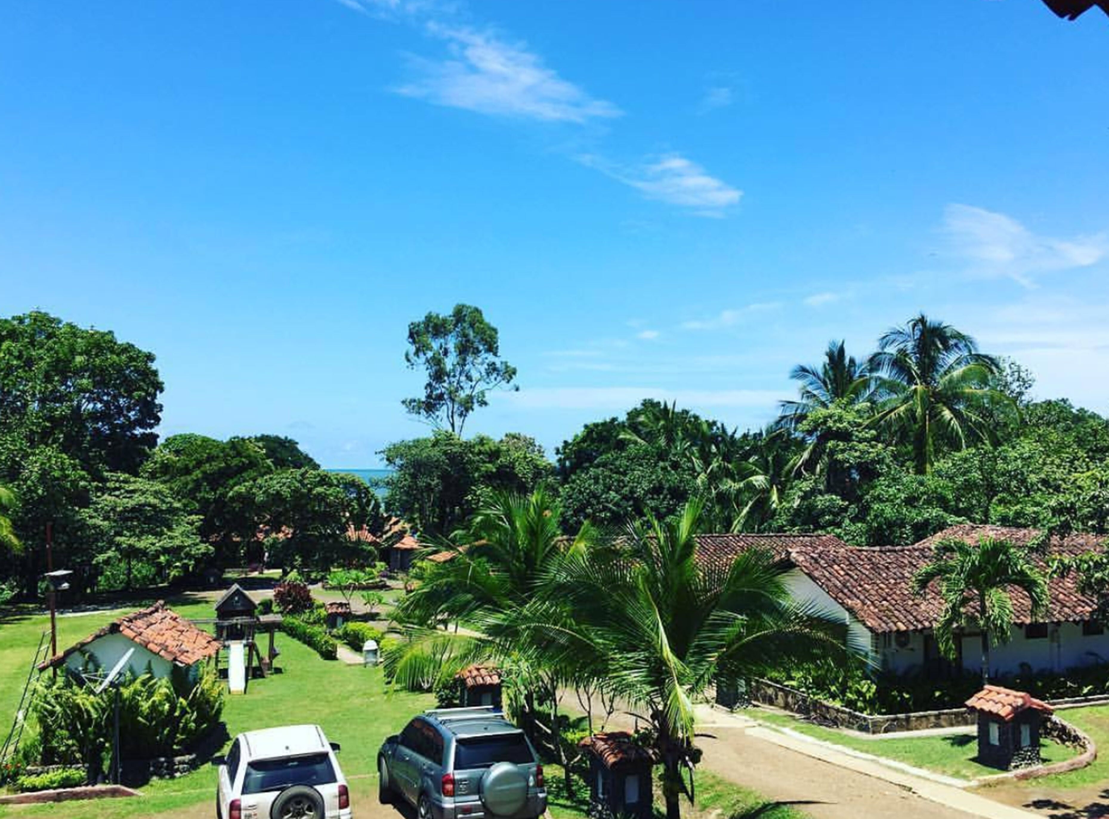 Hoạt động cho trẻ em