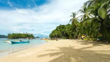 Beach nearby, black sand, beach towels, kayaking