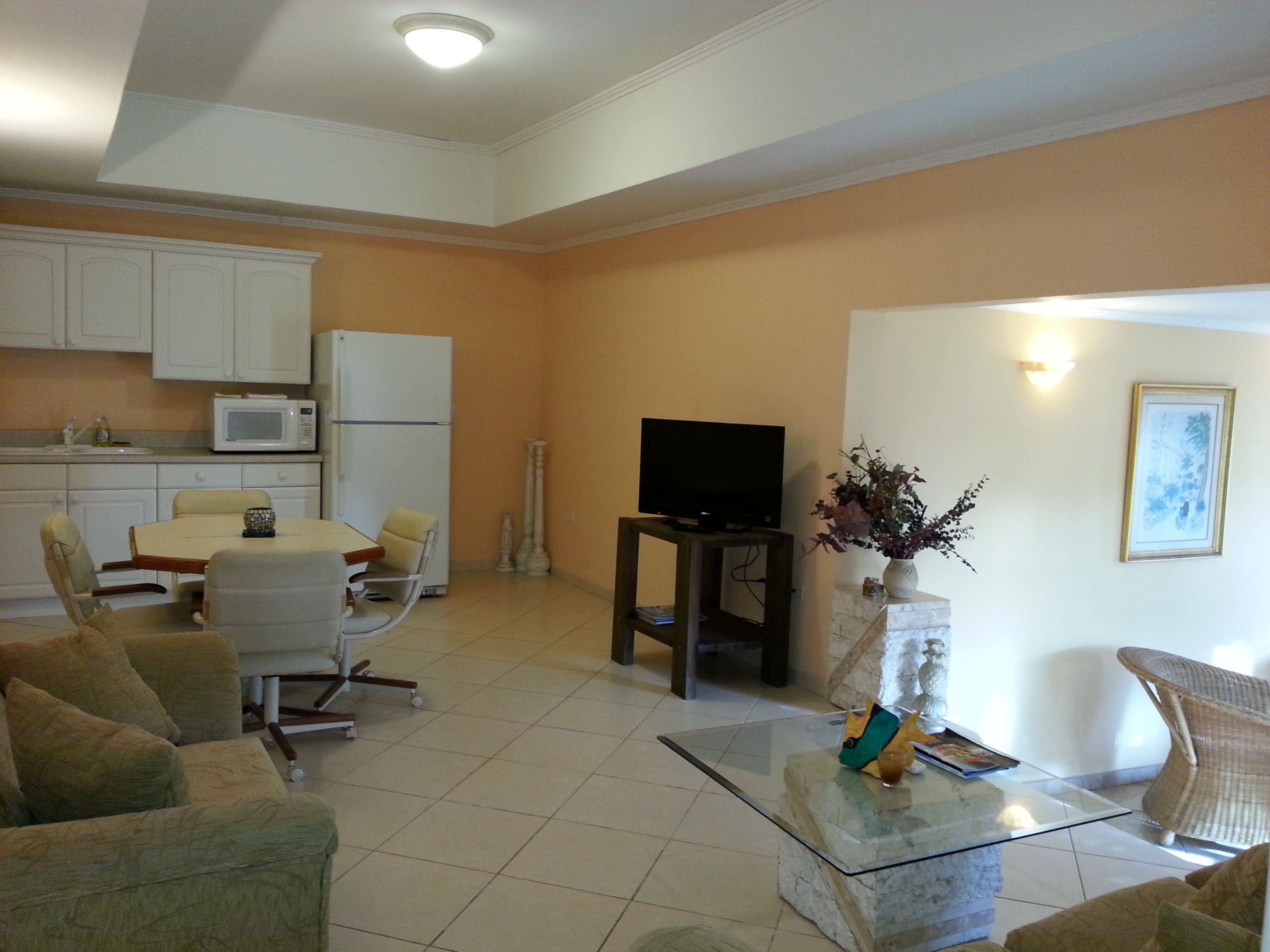 A living room with a TV, a dining table, chairs, a sofa, and a kitchen area with cabinets and appliances.