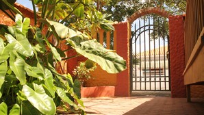 A paved pathway leading to a gated entrance with a brick wall and large green foliage.