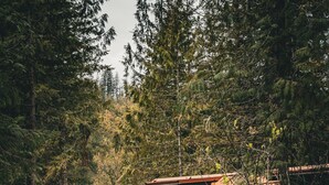 Une cabane dotée d’une terrasse en bois, d’un foyer extérieur et de sièges pour profiter de l’extérieur.