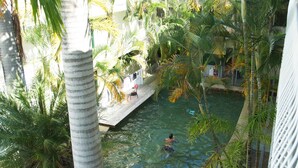 Zona de piscina con una persona nadando, rodeada de palmeras y una terraza de madera con sillas y una mesa.
