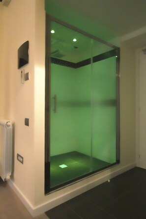 Chambre Double ou avec lits jumeaux | Douche de la salle de bain