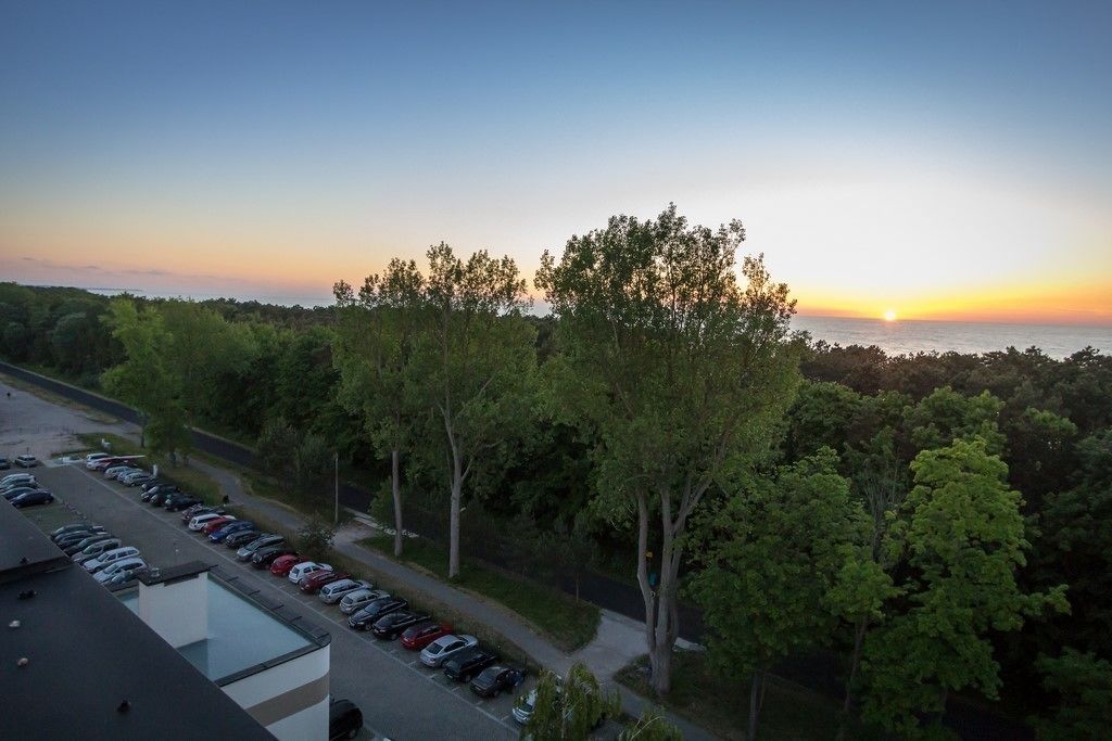 Een parkeerplaats met auto's en bomen op de achtergrond.