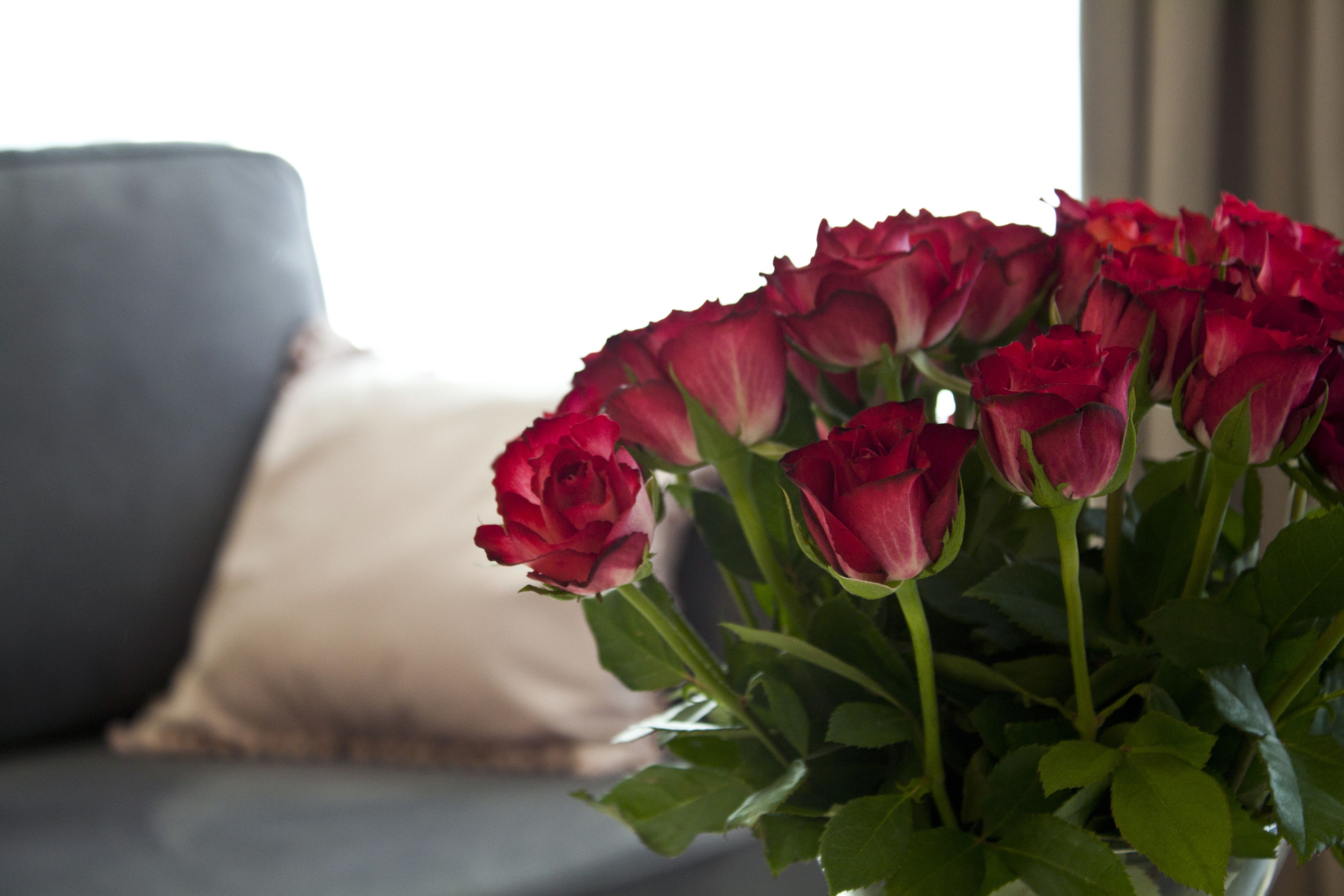 A bouquet of red roses in a vase on a table.