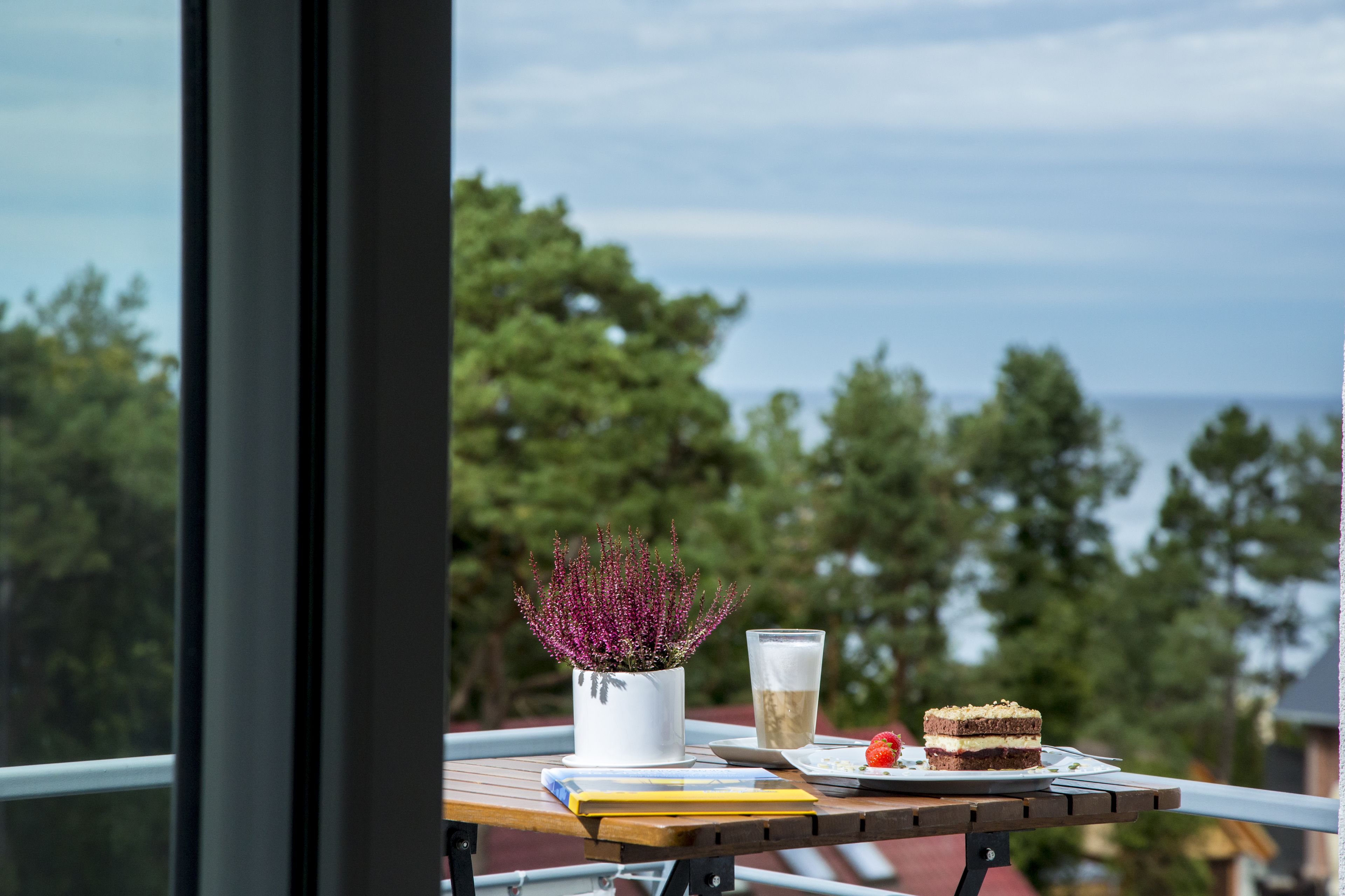 الإطلالة من المنشأة