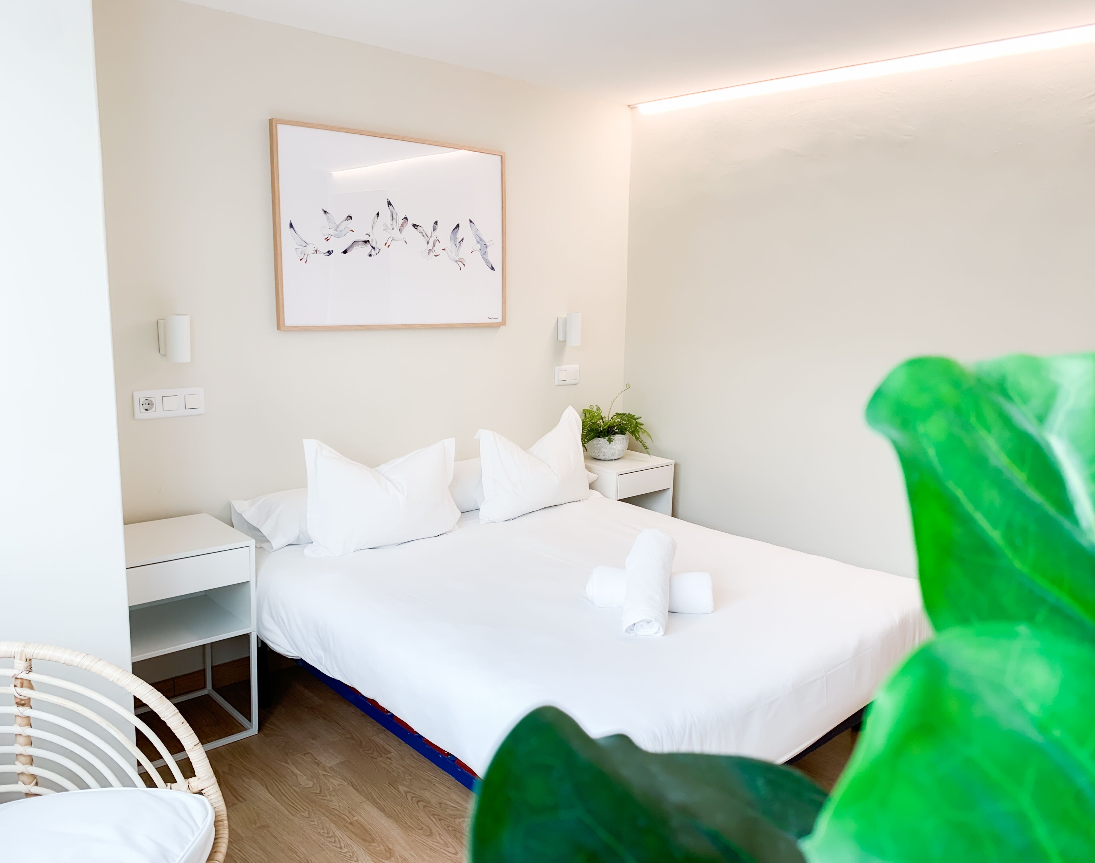 A modern hotel room with a neatly made bed, a bedside table with a plant, and a wall-mounted artwork.