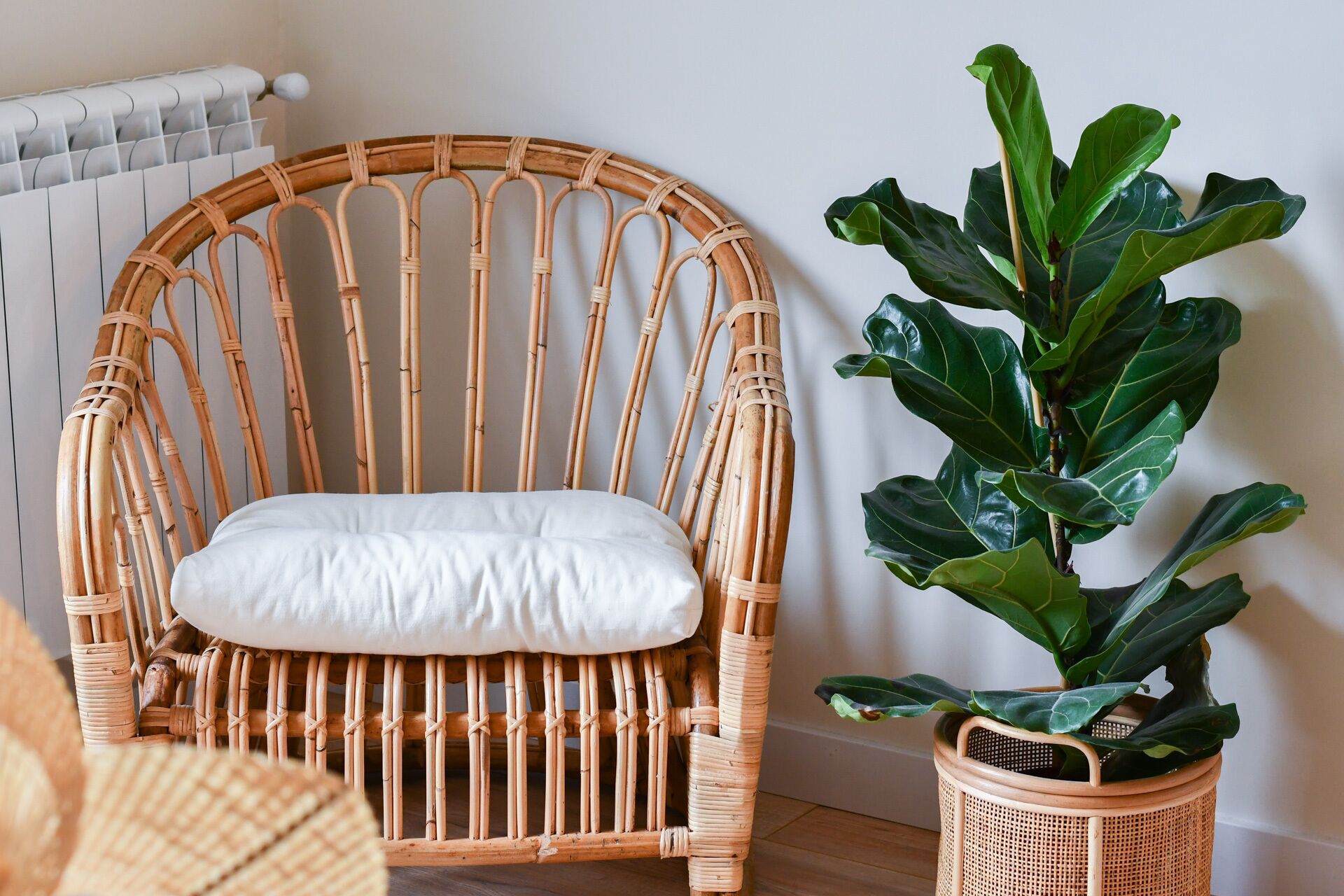 Deluxe Studio | Individually furnished, desk, laptop workspace, blackout curtains