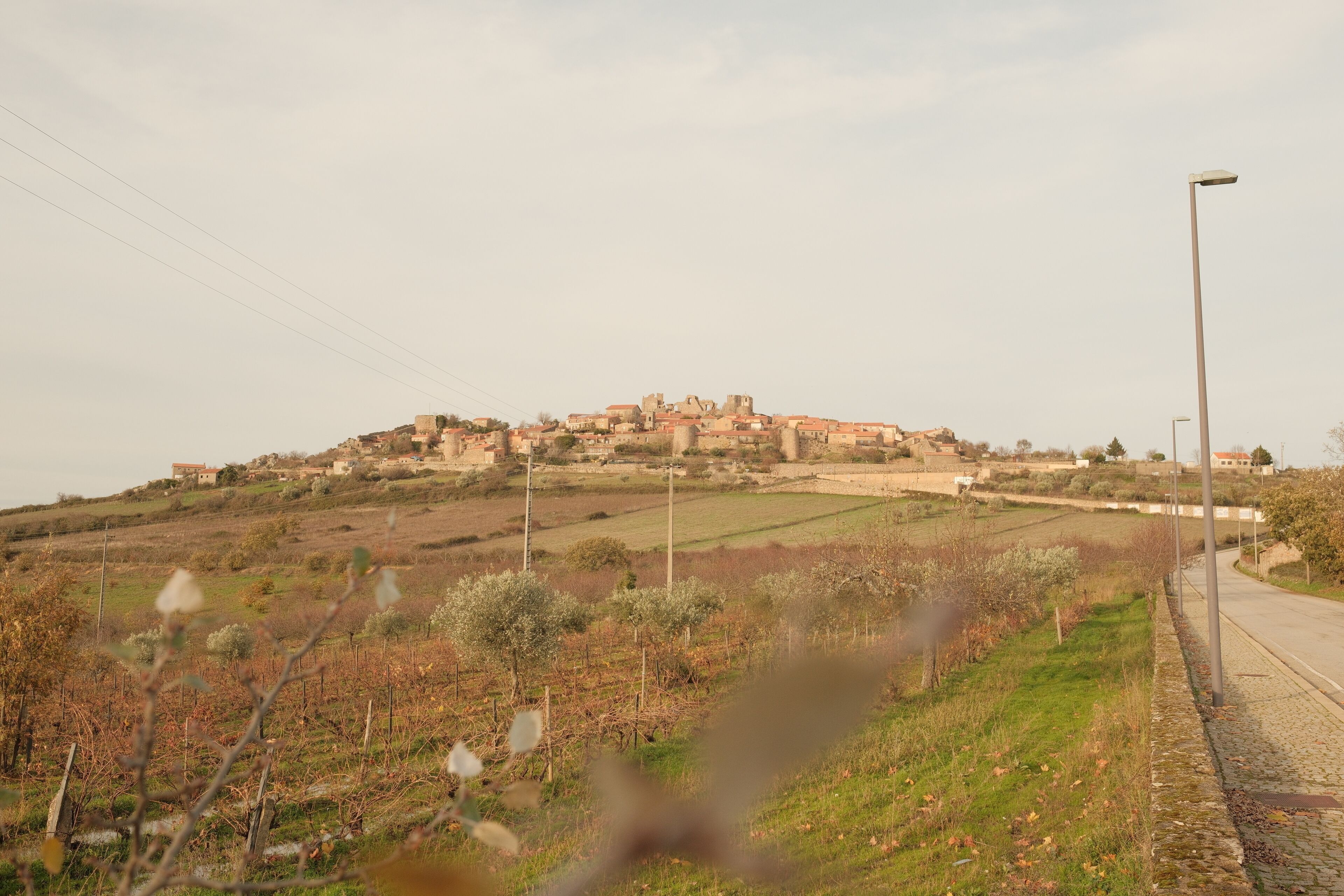 A rural landscape with a hilltop village, a paved road, and a streetlight.