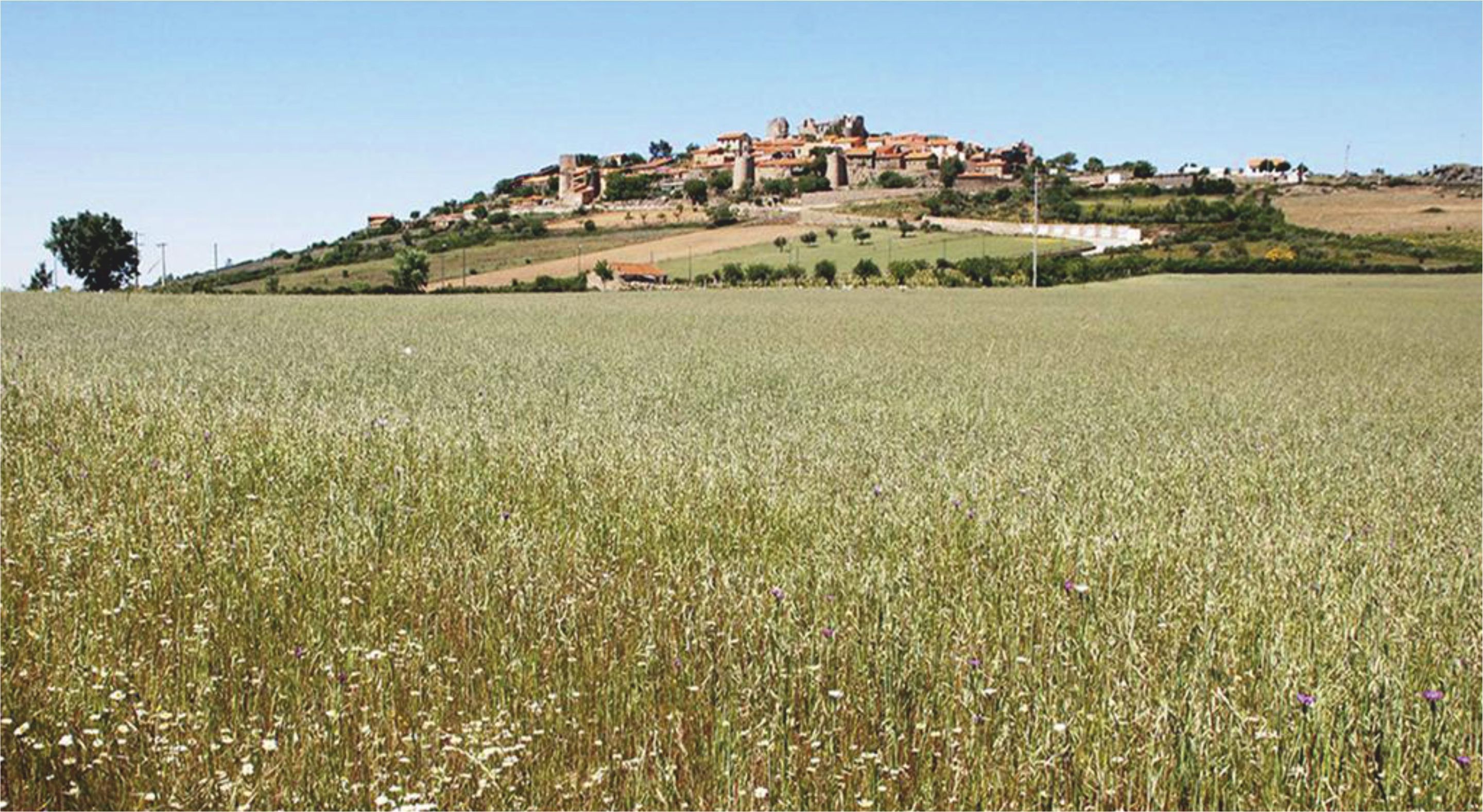Un campo con una colina al fondo y un complejo de edificios históricos.