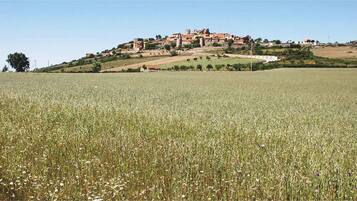 Un campo con una colina al fondo y un complejo de edificios históricos.