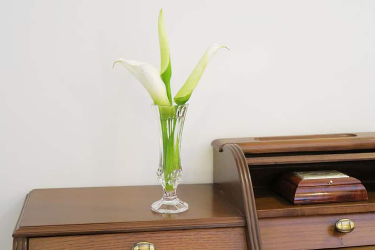 Una mesita de noche de madera con un florero de vidrio transparente que contiene flores blancas.