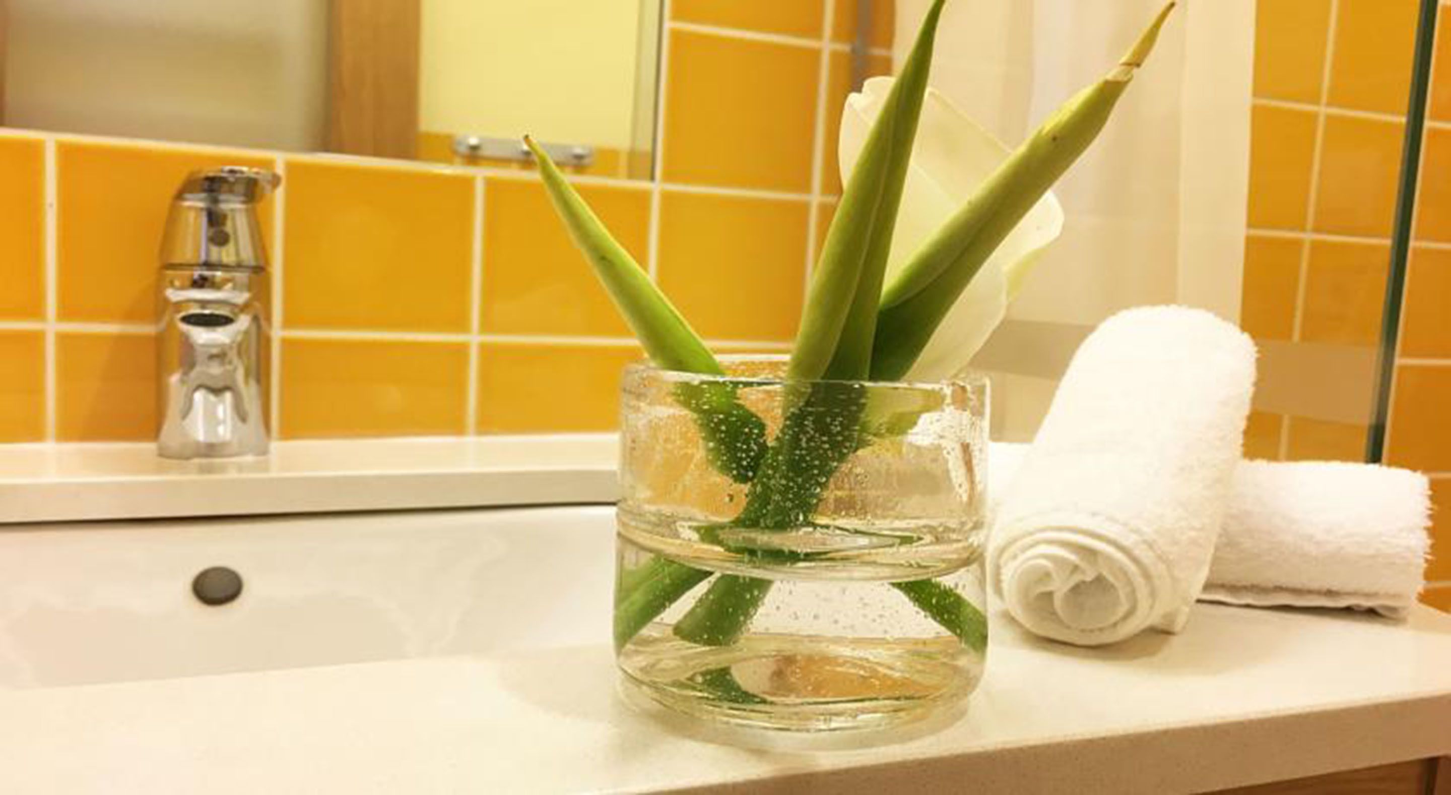 Un lavamanos con un jarrón de vidrio que contiene hojas de aloe vera y una toalla blanca enrollada a un lado.