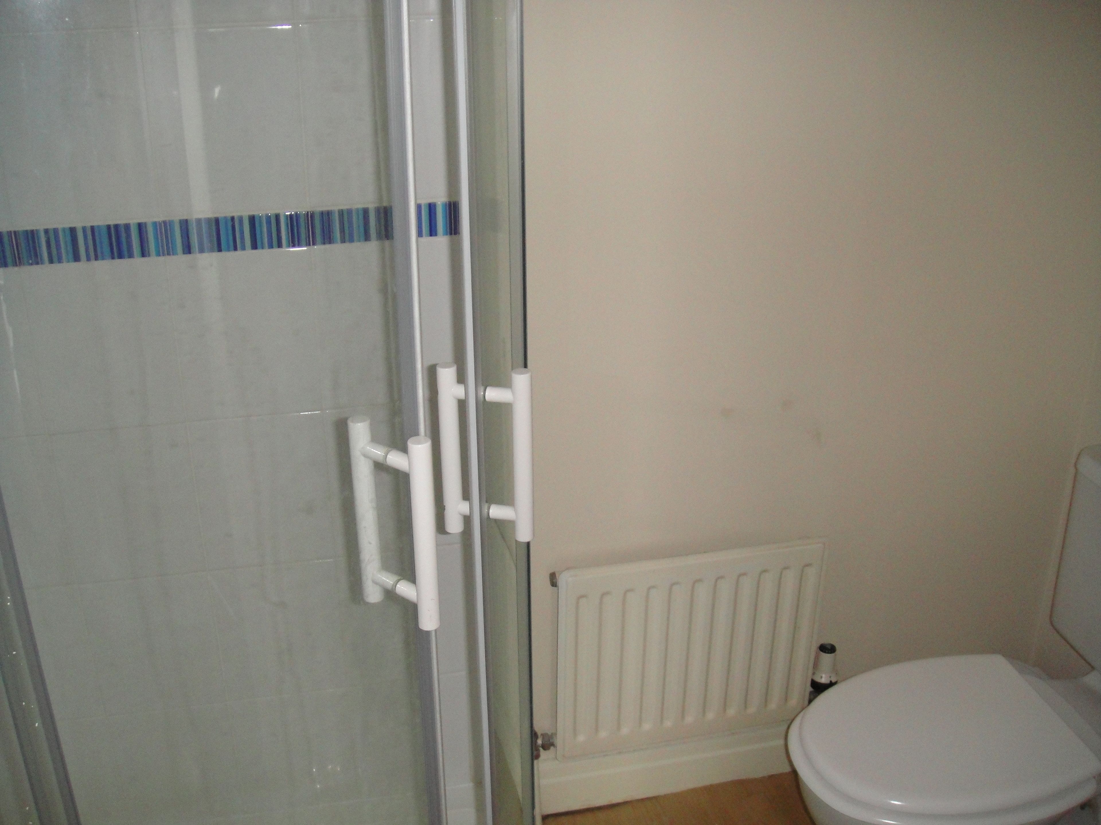 A bathroom with a glass shower enclosure, a white radiator, and a toilet.