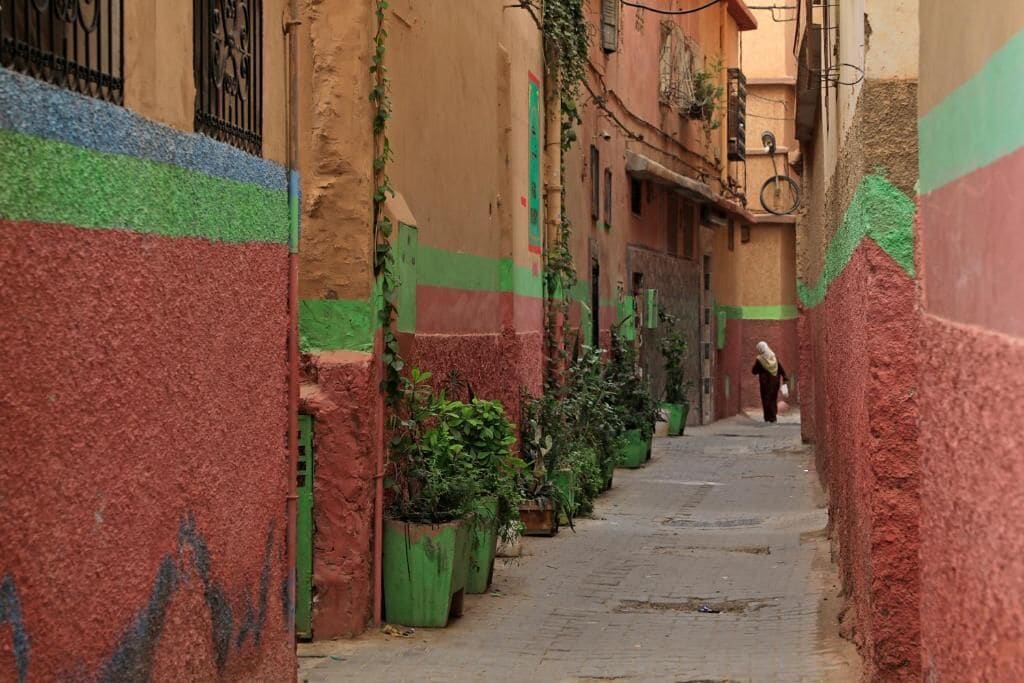 A narrow alley with buildings painted in red and green, lined with potted plants.