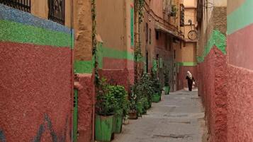 A narrow alley with buildings painted in red and green, lined with potted plants.