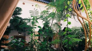 A lush indoor garden with various plants and trees, a traditional tiled wall, and a decorative fountain. - Riad Maryam (Taroudant)