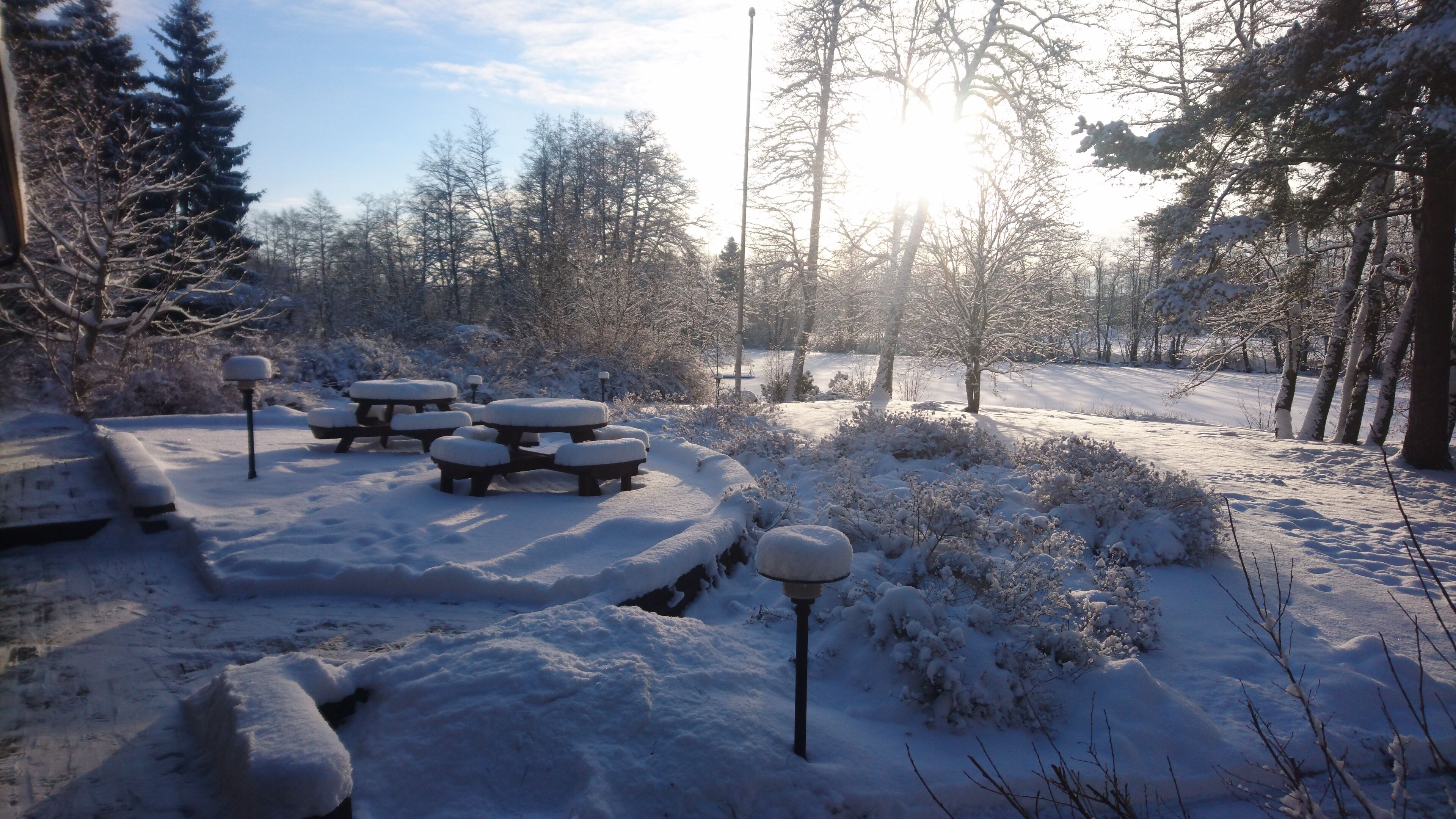 A snow-covered outdoor area with picnic tables and benches, surrounded by trees and a clear sky.