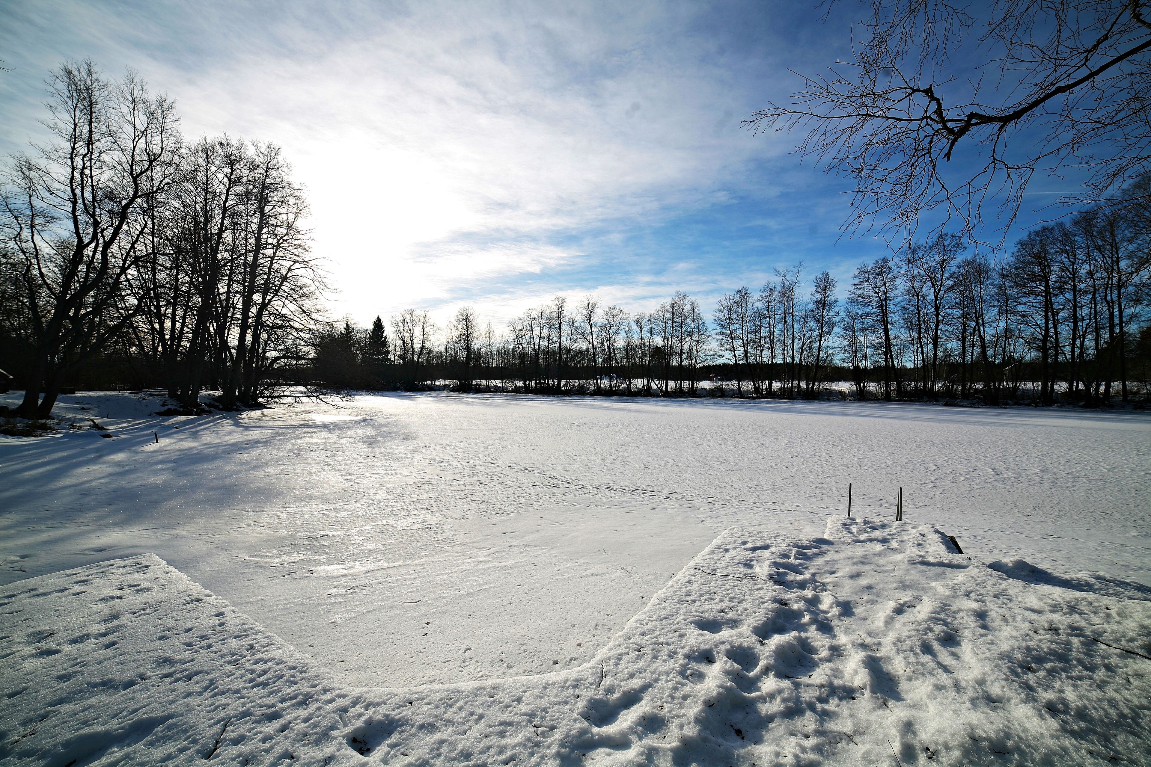 Schneebedeckte Landschaft mit einem zugefrorenen Gewässer, kahlbuscheligen Bäumen und blauem Himmel.