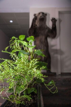 Interior detail - Hotel Macola (Plitvicka Jezera)