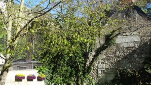 A stone wall with a garden area, including a tree with green leaves and a flower bed with yellow flowers. - Hotel Le Castel Fleuri (Tours)