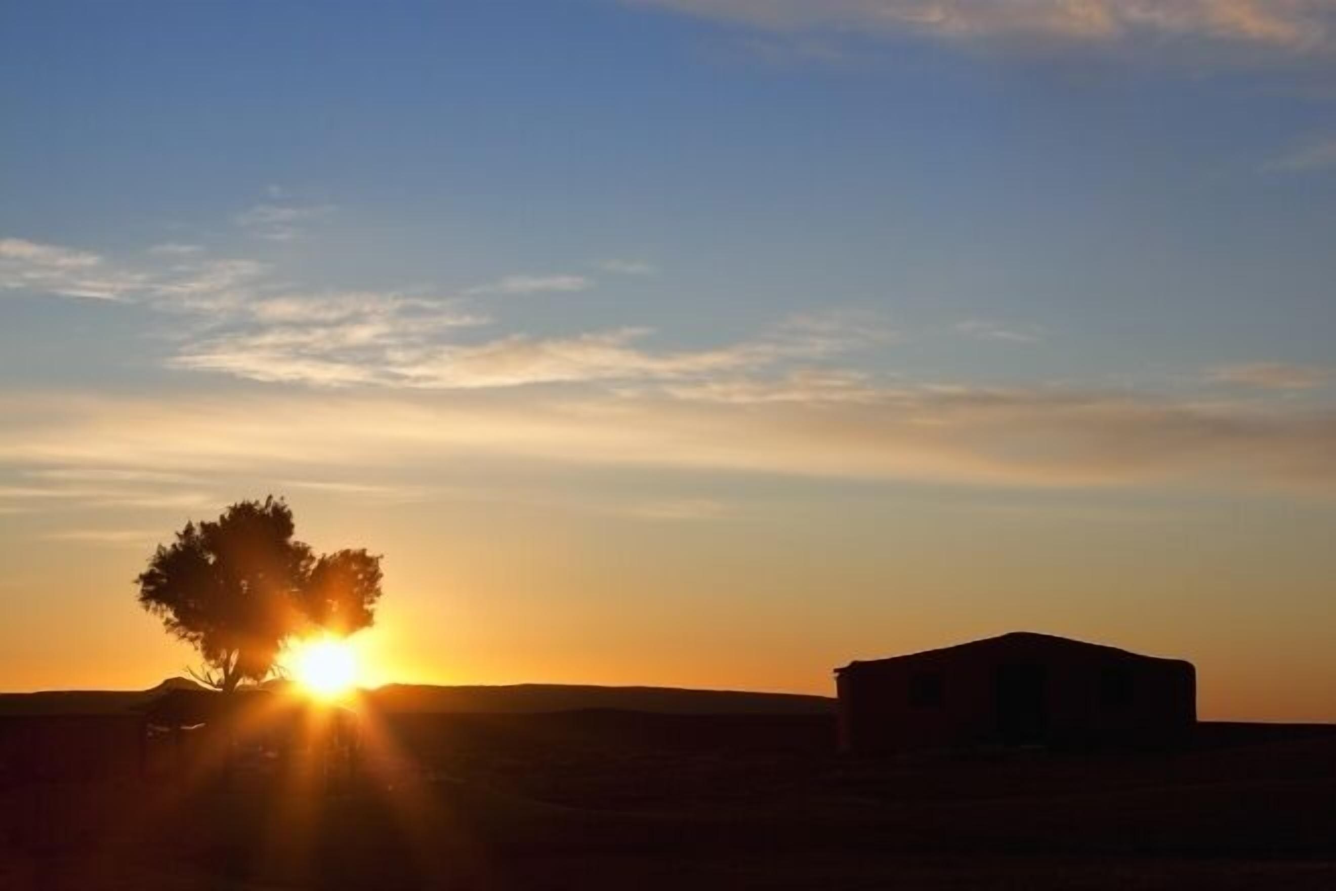 Een zonsondergang met de silhouetten van een boom en een gebouw.