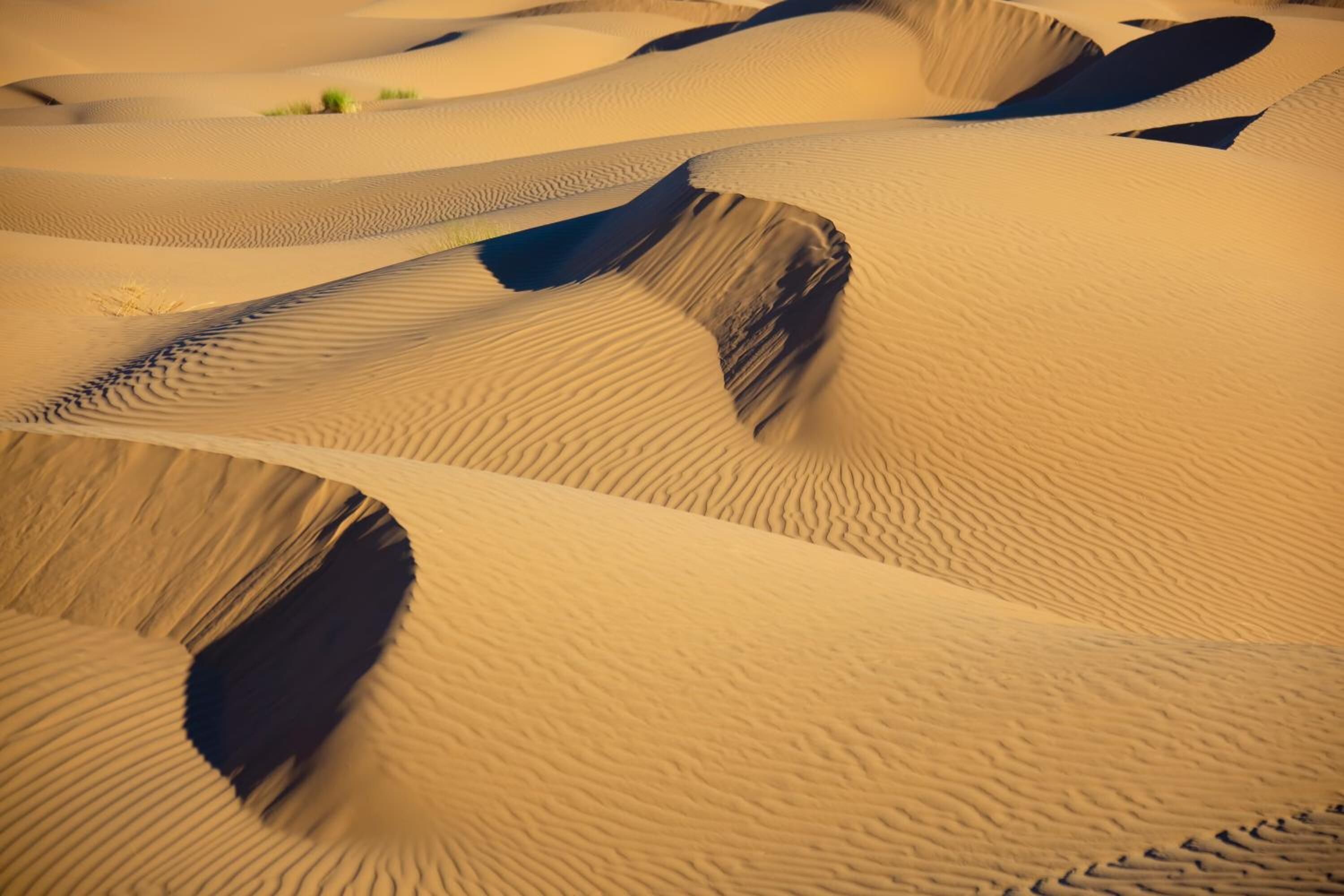 Un primo piano di dune sabbiose caratterizzate da ondulazioni.