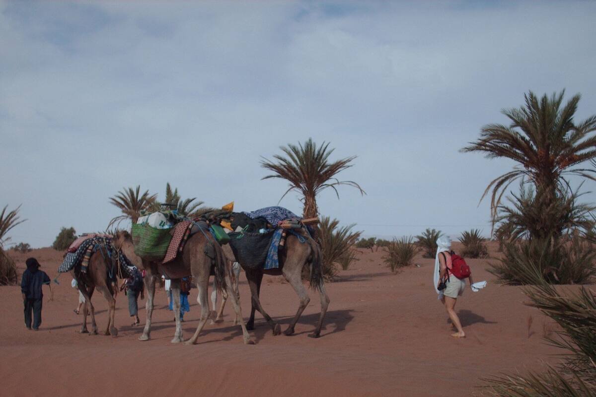 Paisaje desértico con camellos y personas.