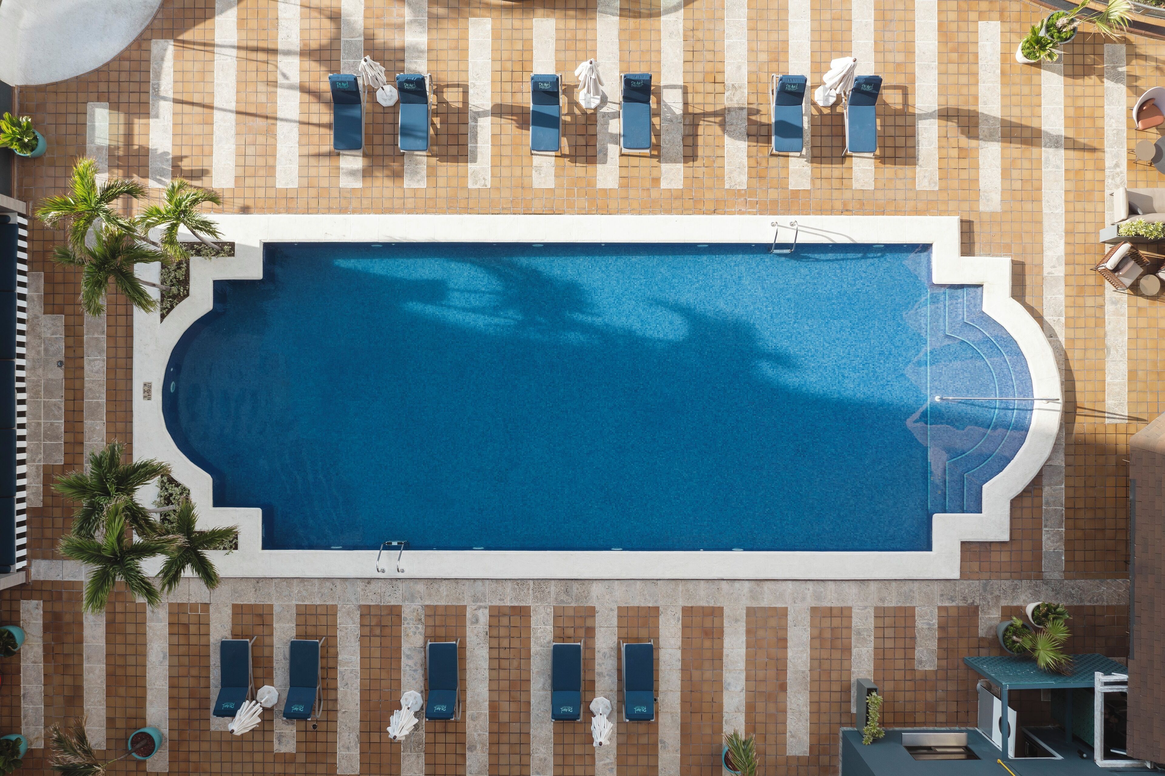 En rektangulär swimmingpool med en kakelbeklädd yta runt om, där det finns solstolar och små krukväxter.