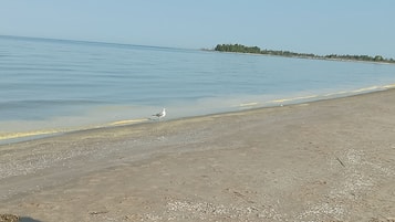 Tæt på stranden, kajakroning, roning/kanosejlads, fiskeri