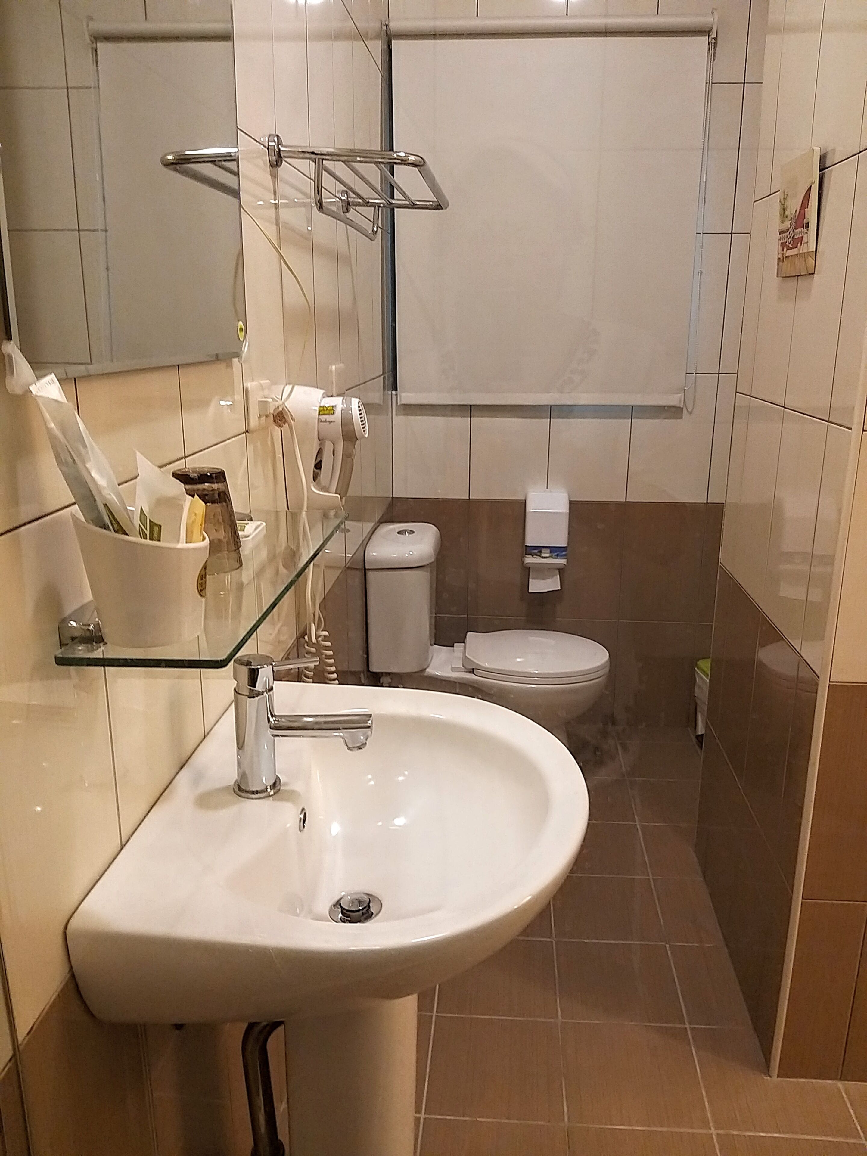 A bathroom with a white sink, a toilet, and a glass shelf with toiletries.
