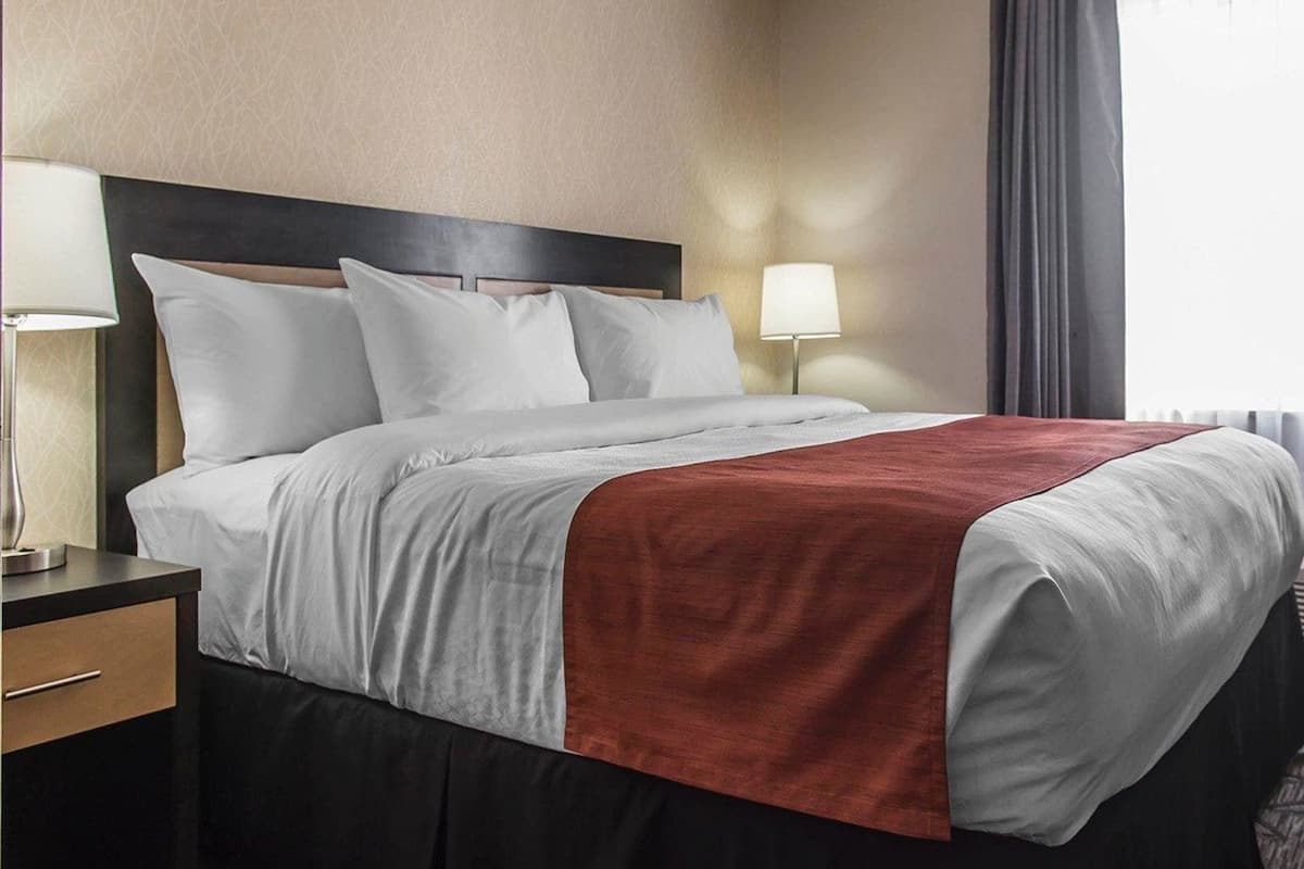 Ropa de cama hipoalergénica, escritorio y tabla de planchar con plancha