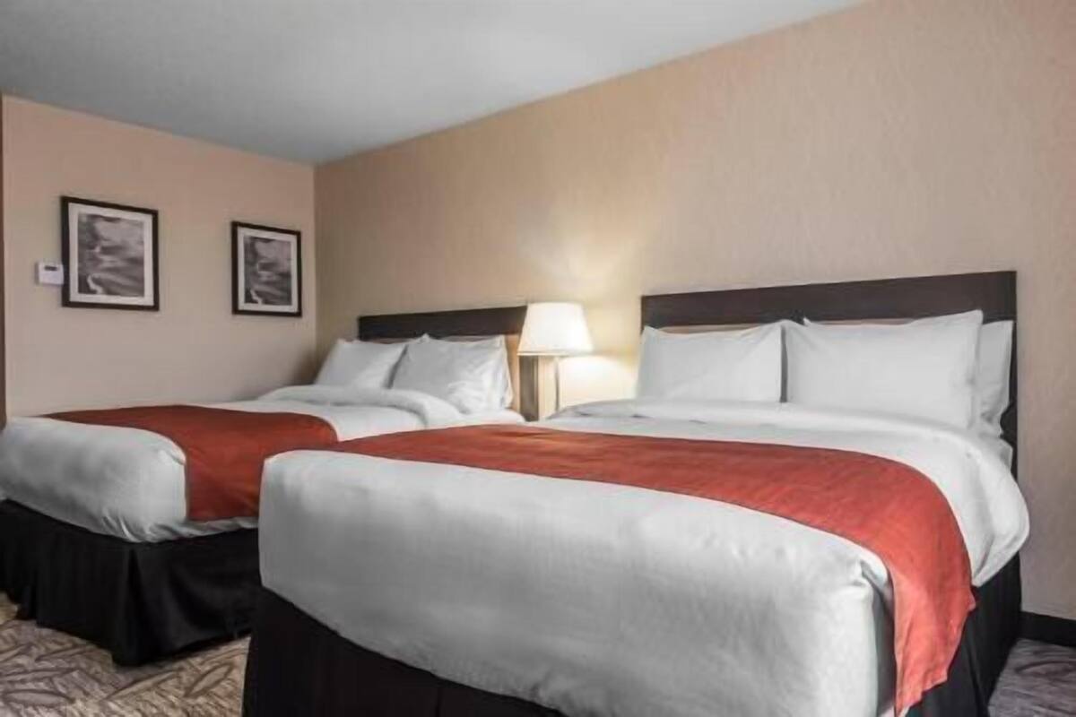 Allergitestade sängkläder, skrivbord och strykjärn/strykbräda