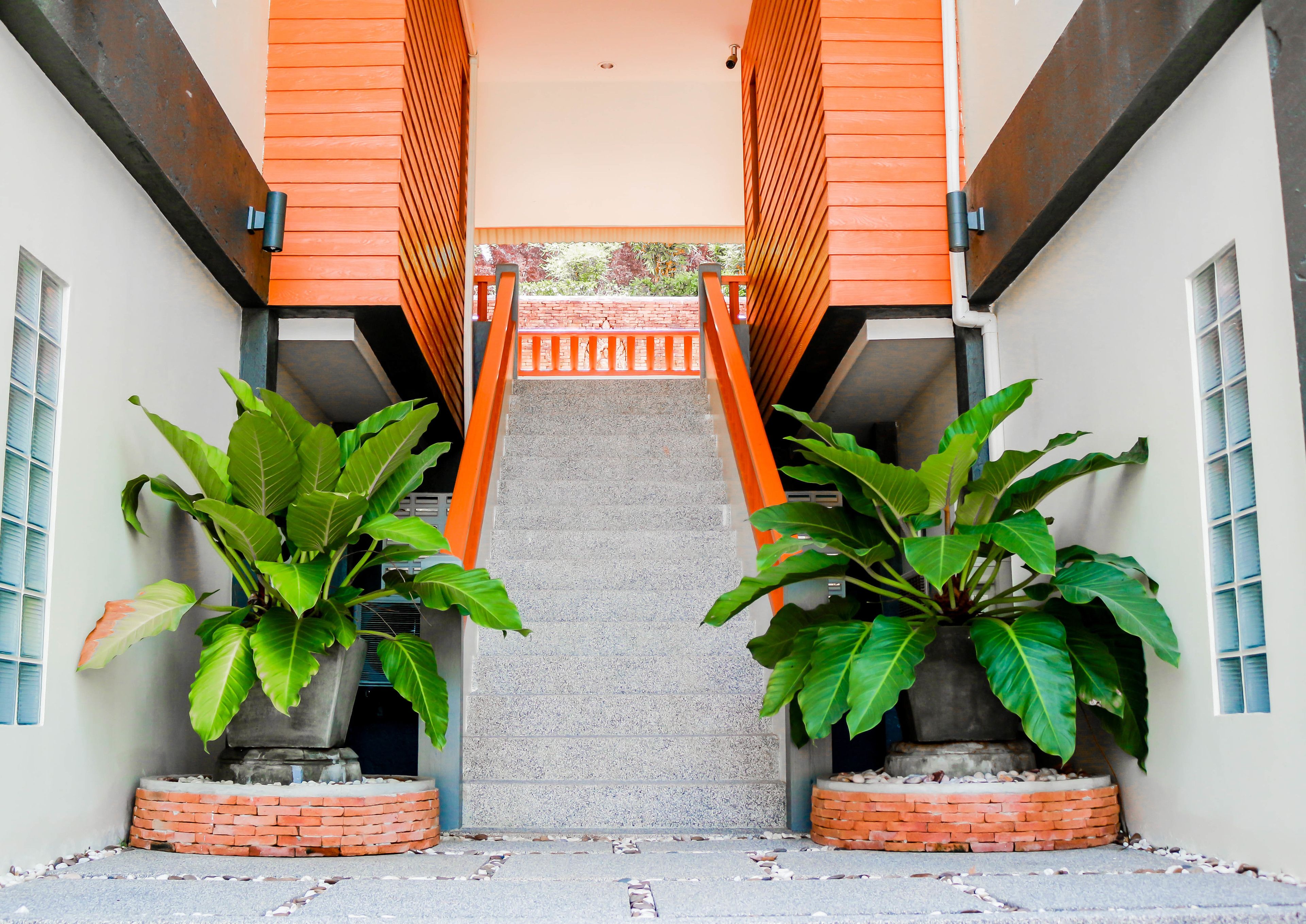 A narrow pathway leading to a building entrance with a wooden gate, flanked by large potted plants.