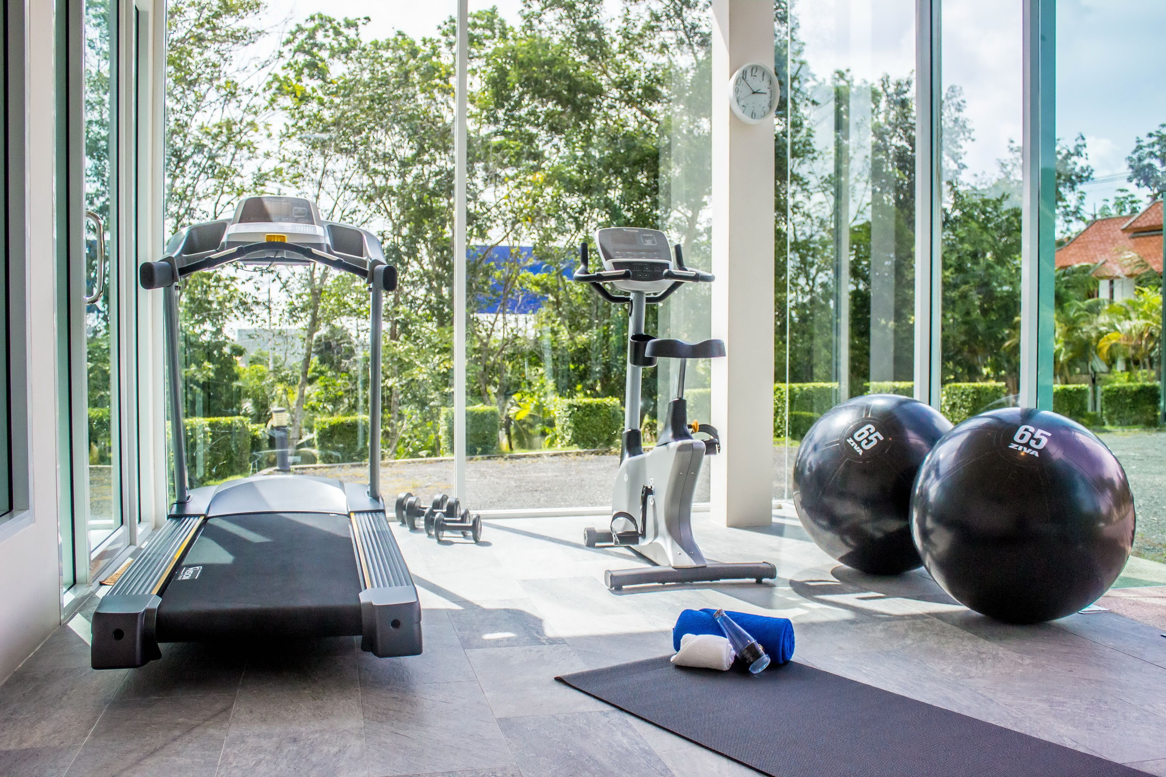 A gym with treadmills, an elliptical, and exercise balls.