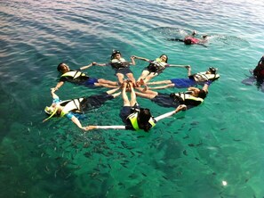 A group of people snorkeling in clear blue water.